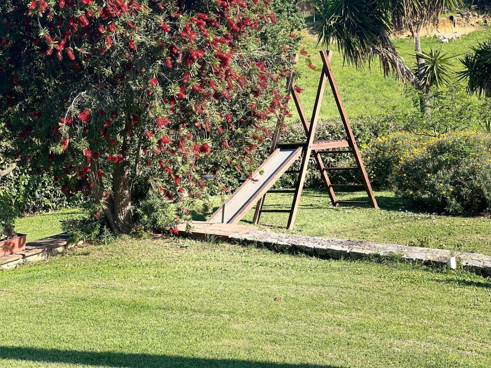 Agriturismo La Castellina Сатурния Екстериор снимка