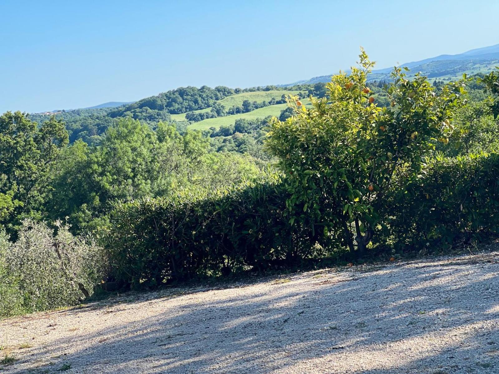 Agriturismo La Castellina Сатурния Екстериор снимка
