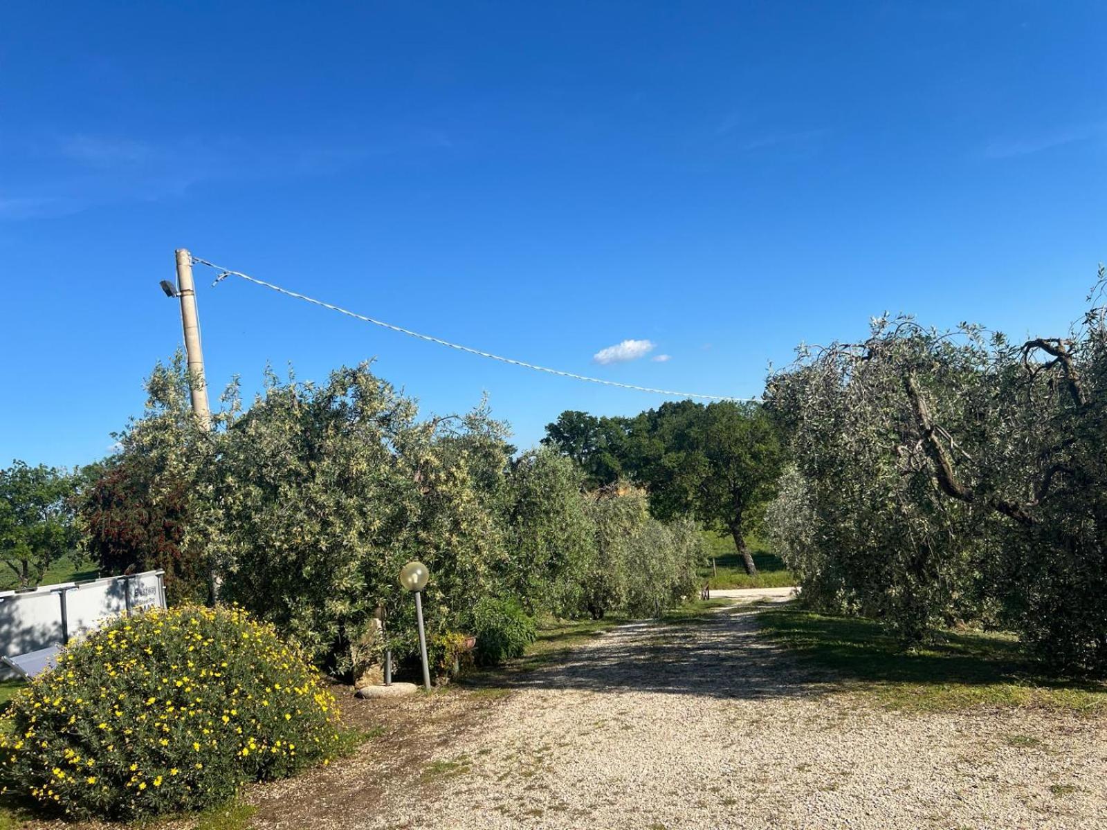 Agriturismo La Castellina Сатурния Екстериор снимка